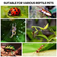 360° Transparent Acrylic Jumping Spider Enclosure Breeding Box Spliced Reptiles Geckos Insect Ventilated Terrarium - Style 3 - View 7