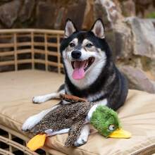 Best Pet Supplies Squeaky Dog Toys With Soft Durable Fabric For Small, Medium And Large Pets Interactive Toy For Indoor Play, Supports Active Biting And Play - 1Wild Duck, Small,Small,Brown/WildDuck - 棕色鴨/野鴨 - 查看 7