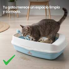 Kit Arenero Hipoalergnico Anti Olor, 3kg de y Plato Dobre - Arenero para Gatos con Aglutinante 3kg Azul - inicial - Ver 7