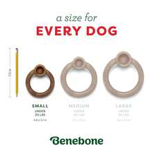 Benebone Peppermint Ring – Limited Edition Holiday Flavor, Durable Chew Toy For Aggressive Chewers, Made In USA, Small,Small - 小的 - 查看 6