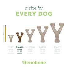 Benebone Wishbone Durable Dog Chew Toy For Aggressive Chewers, Real Peanut, Made In USA, Small, For Any Breed,Small - Small - View 5