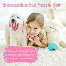 HIPPIH Dog Puzzle Toys & Interactive Toys For Large & Small Dogs - IQ Training, Chewing, Teeth Cleaning & Treat Dispensing - 2 Pack,3.14inch+2.75inch,Blue+Pink - xanh dương + hồng - Xem 7
