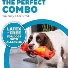 Outward Hound Accordionz Latex Rubber Squeaking Toy - Squeaky And Grunting Dog Toy, Alligator - MàuD - Xem 2