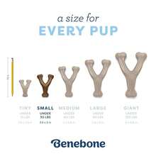 Benebone Puppy Wishbone Dog Chew Toy, Made In USA, Real Bacon Flavor, Small,1Pack,Wishbone-Small - 許願骨-小 - 查看 5