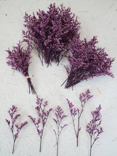 26/51/101/300 st Mini Gypsophila & Andra Torkade Blommor - För Hartsform Konst Och Hantverk, Elfenbensvit Bukett För Håraccessoarer, Bröllopskransar, Borddekoration, Heminredning