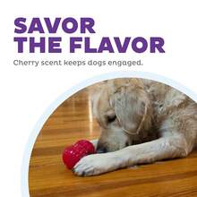 Outward Hound Gummiez Cherries Dog Toy & Treat Stuffer, 4″ X 4″ Cherry-Scent Interactive Chew For Dogs, Promote Healthy Teeth, Gums & Mental Enrichment, Reduce Boredom & Support Dental Health,Cherries - 櫻桃 - 查看 6