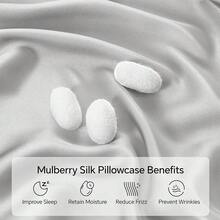 INFIIXSO Body Pillow Cover With Zipper, Luxury Mulberry Silk Body Pillow Case 20x54 Inches, Ultra Smooth And Soft Cooling Long Pillowcase, Gift For Women, Men(Light Grey),Body(20inchX54inch),LightGrey - 淺灰色 - 查看 3