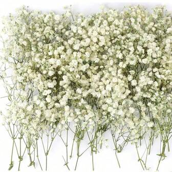 50/100 piezas Flores artificiales de Paniculata blancas - Delicadas, duraderas y fáciles de hacer manualidades, adecuadas para bodas, decoración del hogar y oficina, fiestas y jardín - Corona floral de estilo bohemio para escritorio, sin plumas, sin electricidad, ideal para decoraciones navideñas, de Acción de Gracias y Halloween, regalos navideños y decoración del hogar