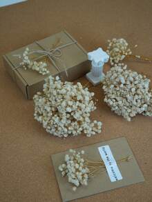 200/400/800/2400 unidades de flores de gypsophila premium, com hastes de 5 a 10 cm de comprimento, ideais para decoração de casa, ambientes externos, varandas, salas de estar, hotéis, jardins, casamentos, festas, aniversários, Dia dos Namorados, Dia das Mães, formaturas, Dia da Independência, Natal e outras ocasiões românticas (sem cartão).