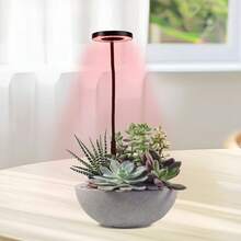 1 Set Red & Blue Light Ground Disk Plant Growth Lamp, Dimmable, Spectrum Switchable, USB Interface, Potted Plant Home Grow Light