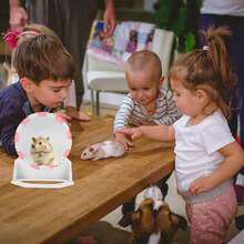 jojofuny Rueda para Hámster de 18 Soporte Rueda de Ejercicio para Mascotas Pequeñas como Hámster Dorado y Jerbo Juguete Compacto para Correr y Entrenar Casa - 1 - Ver 7