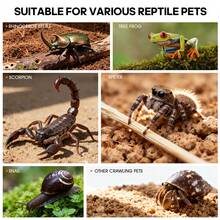 360° Transparent Acrylic Jumping Spider Enclosure Breeding Box Spliced Reptiles Geckos Insect Ventilated Terrarium - Style 4 - View 7