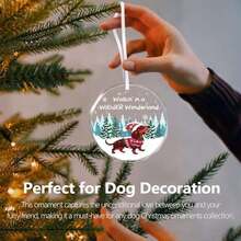 Christmas Ornaments 2025, Dachshund Christmas Decorations Weiner Dog Decor Dachshund Gifts For Women Glass Christmas Dachshund Ornament With Box - As Pic - View 6