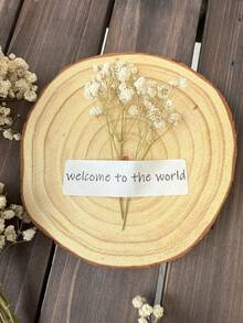 20/50/100/150/300支象牙白迷你满天星及其他干花 - 适用于树脂模具工艺美术，可用于制作发饰、婚礼花环、桌面摆件、家居装饰 - 白綠色(乾燥花) - 查看 3