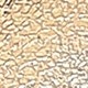 金色