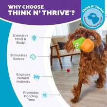 Outward Hound By Nina Ottosson Snack Palz Interactive Plush Dog Puzzle With Treat Ball, Cactus, Green - ColorA - View 6