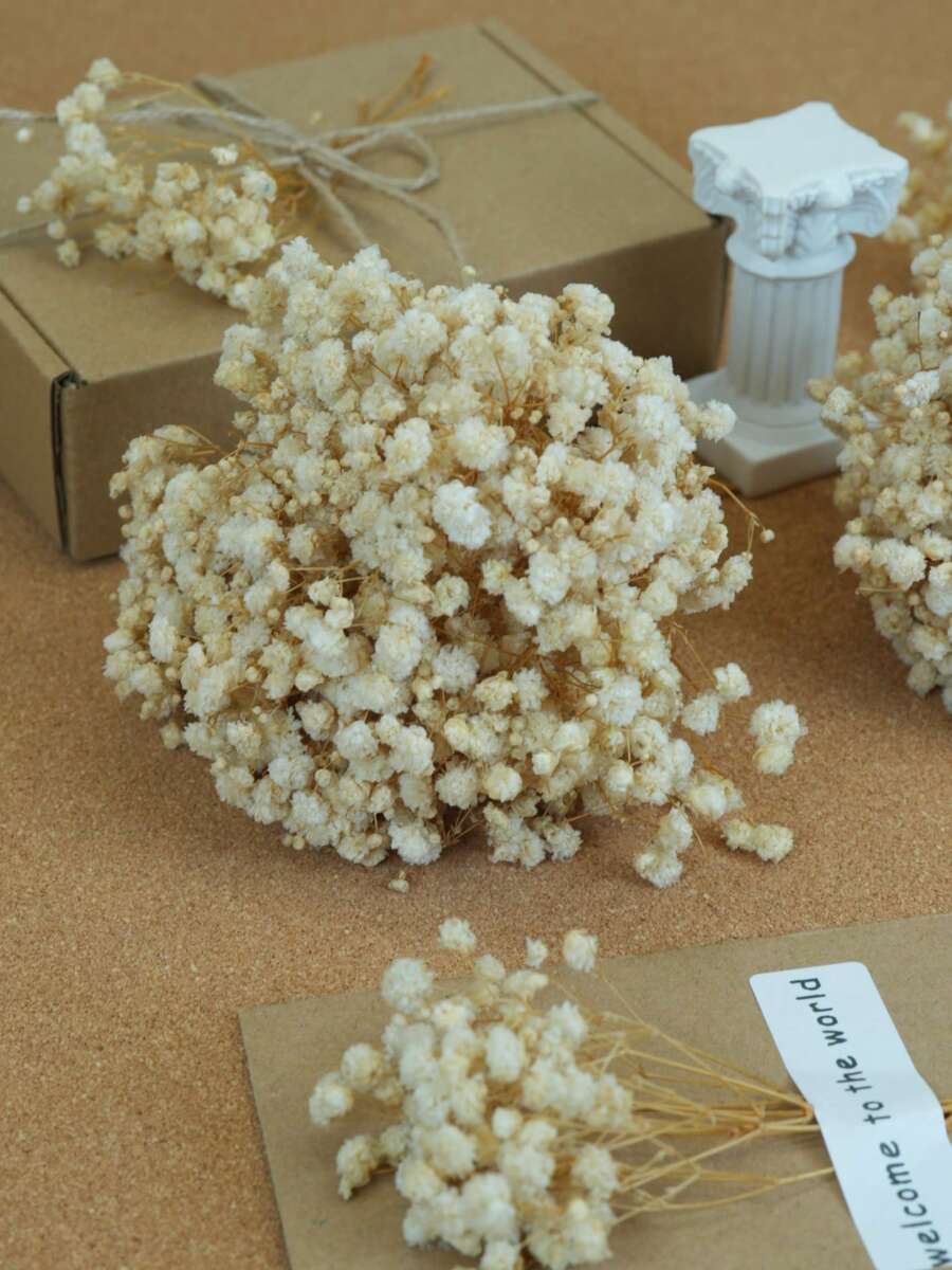 200/400/800/2400 unidades de flores de gypsophila premium, com hastes de 5 a 10 cm de comprimento, ideais para decoração de casa, ambientes externos, varandas, salas de estar, hotéis, jardins, casamentos, festas, aniversários, Dia dos Namorados, Dia das Mães, formaturas, Dia da Independência, Natal e outras ocasiões românticas (sem cartão).