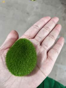 10颗人造苔藓石，DIY绿色仿真苔藓球和岩石，适用于插花、仙境花园和手工制作，采用超细纤维制成，可用于季节性装饰、花园点缀和工艺项目、微缩景观、墙面装饰和摄影道具、户外岩石花园装饰、派对和节日装饰、波西米亚风格、卧室装饰配件、情人节和母亲节装饰、春季装饰。 - 綠色 - 查看 10