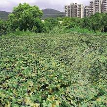 1件军用迷彩 Jagd Tarnnetz 陆军迷彩猎人军用网 迷彩网 伪装网 遮阳网 狩猎军事装饰派对射击迷彩网 Motoland 迷彩网 露营遮阳棚 户外帐篷 分享车罩 森林景观