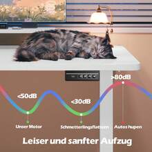 Devoko Gunji 120/140/160cm Height Adjustable Desk With Monitor Stand, Ergonomic Desk For Home Office, Office Table - 查看 5