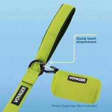 Standard Leashes - Verde Lima (Leash)+5/8" X 5ft - View 3