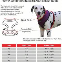 YPuppia Authentic Junior Arnes A Mediano Beige - Mediano+Negro - Ver 7