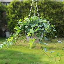 1/2 سلة معلقة بلاستيكية - تصميم بيضاوي مخطط، قوية ومقاومة للطقس للاستخدام الداخلي والخارجي، أصيص زهور معلق للحديقة والشرفة والفناء، مع سلسلة مرفقة، سطح مطلي مخطط للاستخدام الداخلي والخارجي - متعدد الألوان - مشاهدة 4