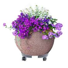 Adjustable Plant Trolley Ø 39-52 Mm, Rolling Platform With 360° Swivel Wheels, 300 Kg Load Capacity, Plant Transport Aid, For Indoor And Outdoor Use (Grey) - 39x39x11 cm - 查看 6