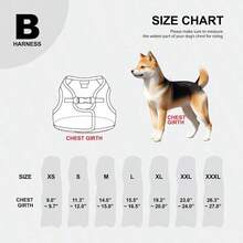 Standard Leashes - Large - View 2