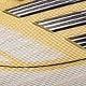 Dorado