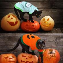 Y6 Piezas de Disfraz de Perro de Halloween Divertida Ropa de Perro de Miedo Small - Multicolor - Ver 4