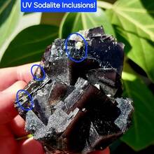 1件稀有天然黑玫瑰萤石标本 - 鲜艳的紫红色矿物收藏品，在紫外光下发光，波西米亚风格家居及办公室装饰，生日及节日完美之选，办公室装饰 | 波西米亚风格 | 荧光矿物，萤石装饰 - 黑色 - 查看 5