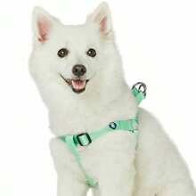 YBlueberry Pet Essentials Arnes para perro tamaño mediano chaleco ajustable de color verde pastel nailon solido clasico para perros de niño y niña contorno de pecho de 20 a 26 pulgadas - pastel - Ver 1