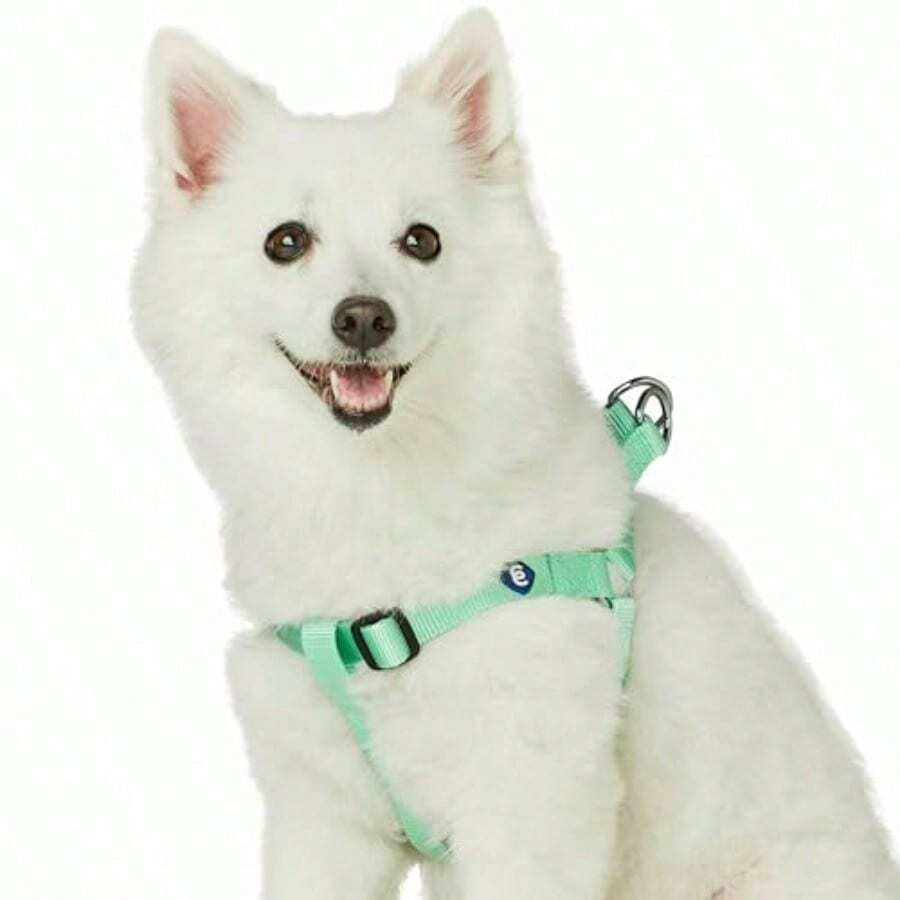 YBlueberry Pet Essentials Arnes para perro tamaño mediano chaleco ajustable de color verde pastel nailon solido clasico para perros de niño y niña contorno de pecho de 20 a 26 pulgadas - pastel - Ver 1