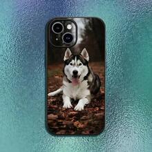 Funda de Teléfono Divertida de Perro Husky compatible con  12 13 14 15 16 17 Pro Max Plus, Carcasa Suave Negra Clásica, Cubierta compatible con funda de  17 pro max, funda de  17 pro, funda de  17, funda de  16 pro max - z6 - Ver 1