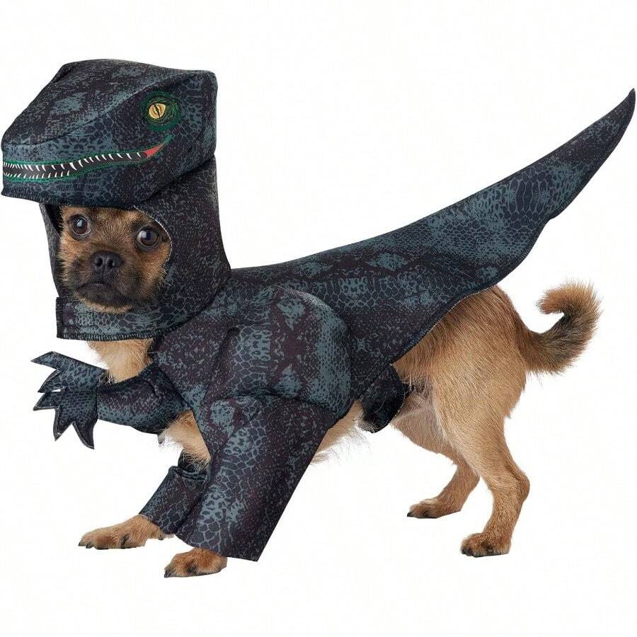 YCalifornia Costumes Collections PET20169 Disfraz de pupasaurus rex para perro talla XS - XS+Gris - Ver 1