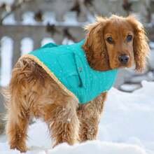 YQueenmore Abrigo calido para Perros Chaleco Acolchado para Perros para Clima  Chaqueta de Invierno Acolchada para Mascotas Forro Polar de Felpa Ultra Grueso Ropa para Perros con Bolsillos de - como en la foto - Ver 7