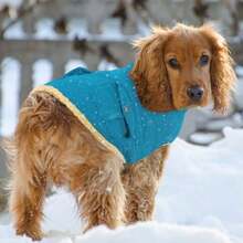 YQueenmore Abrigo de invierno para perros calido acolchado impermeable con forro de felpa chaleco termico para clima  para perros pequeños medianos y grandes resistente al viento facil de - como en la foto - Ver 7