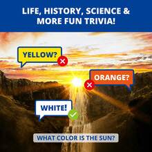 KAWAII KOI MAD TRIVIA Trivia Game With Sand Timer About Things You Oughta Know - Fun Fast-Paced Quiz Card & Board Game With 200+ Questions For 14+, Family Road Travel Game For The Pursuit Of Trivial Knowledge - Multicolor - View 4