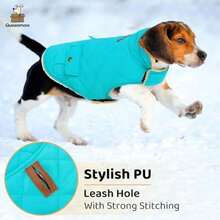 YQueenmore Abrigo calido para Perros Chaleco Acolchado para Perros para Clima  Chaqueta de Invierno Acolchada para Mascotas Forro Polar de Felpa Ultra Grueso Ropa para Perros con Bolsillos de - como en la foto - Ver 5