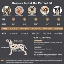YQueenmore Abrigo calido para Perros Chaleco Acolchado para Perros para Clima  Chaqueta de Invierno Acolchada para Mascotas Forro Polar de Felpa Ultra Grueso Ropa para Perros con Bolsillos de - como en la foto - Ver 4