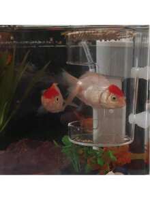 1pc Acrylic Transparent Fish Feeder Ring, Floating & Fixed Fish Feeding Ring, Aquarium Feeder,Self-Lifting Floating Fish Feeder - Transparent Floating Food Dispenser For Precise Feeding Control, Suitable For All Aquarium Sizes, Prevents Contamination, Saves Time And Energy, Aquarium Feeding Solution, No Batteries Required - Multicolor - View 2