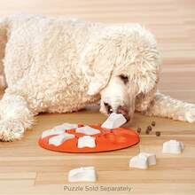 2026  Dog Brick – Interactive Treat Puzzle Enrichment Toy, Level 2 Intermediate - Extra Bones(白色)- 5 包 - 查看 4