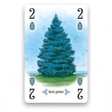 Arboretum Strategy Juego de Cartas Que desafa a 2 a 4 Jugadores de 8 aos en adelante para Crear el jardn ms Hermoso el Embalaje Puede Variar - Estándar - Ver 8