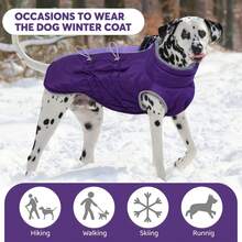 1pc Warm Dog Jacket With Chest Harness, Waterproof Reflective Dog Coat, Suitable For Small, Medium And Large Dogs, Fleece Turtleneck Winter Jacket With Zipper, Pet Winter Warm Clothes