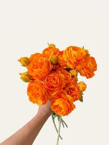 Artificial Peonies 6pcs Ranunculus Silk Flowers 18Heads Pink Flowers Combo Champagne Fake Flowers Floral Arrangements Wedding Decorations For Home Kitchen