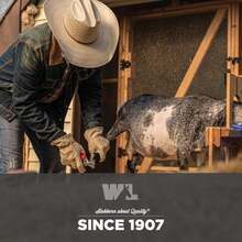 Wells Lamont - Guantes de trabajo de piel para hombre, piel de vacuno de grano, palma reforzada, para construcción, agricultura, ganadería, ajuste ergonómico, pulgar Keystone, muñeca elástica(2X-Large (Pack of 1)) - Multicolor - Ver 7