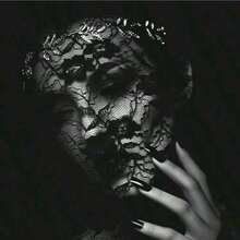 Black And White Lace Elegant FacialLace Mask, Suitable ForCarnival Dress.HalloweenMasks, Ball Veils Valentines