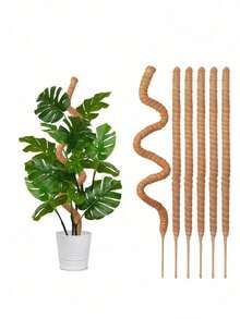 1pc Flexible Plant Support Rod, Bendable Moss Stick, Free-Shaping Climbing Vine Rod, For Supporting Plants, Large Plants, Climbing Plants, Indoor Plants, Flowers And Potted Plants With Stands, Spring Decor - Brown - View 1