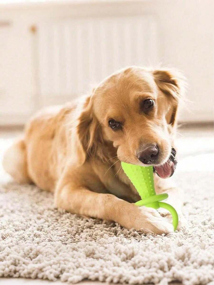 1 pieza Juguete de limpieza dental para mascotas - Proporciona una experiencia de masticación interactiva y entretenida para perros pequeños y cachorros, con campana en el palo de masticar, adecuado para gatos/perros pequeños. Tenga precaución con perros medianos/grandes ya que existe riesgo de daño. Juguetes de entrenamiento para mascotas, juguetes anti-mordedura y de limpieza dental para cachorros, juguetes para mascotas, productos de entrenamiento interactivo, ayuda a las mascotas a jugar y divertirse para aliviar el aburrimiento.